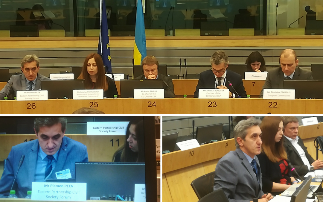 EaP CSF Addresses Environmental Cooperation Recommendations at the 6th EU-Ukraine Civil Society Platform Meeting